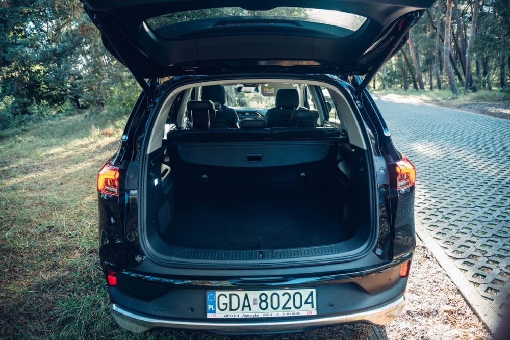 Maxus wypożyczalnia samochodów Gdańsk - samochód elektryczny